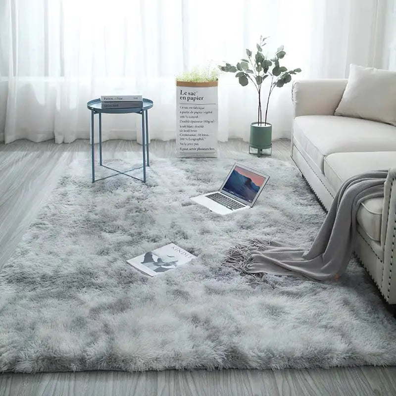 Ins-Style Long Pile Gradient Carpet for Living Room