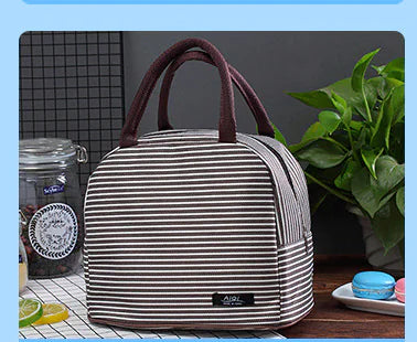 Insulated Lunch Bag for Bento and Food Containers