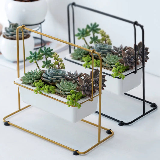 Creative Nordic Minimalist Iron Swing with Ceramic Planters Set