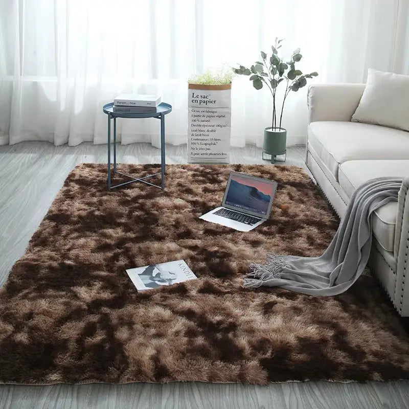 Ins-Style Long Pile Gradient Carpet for Living Room